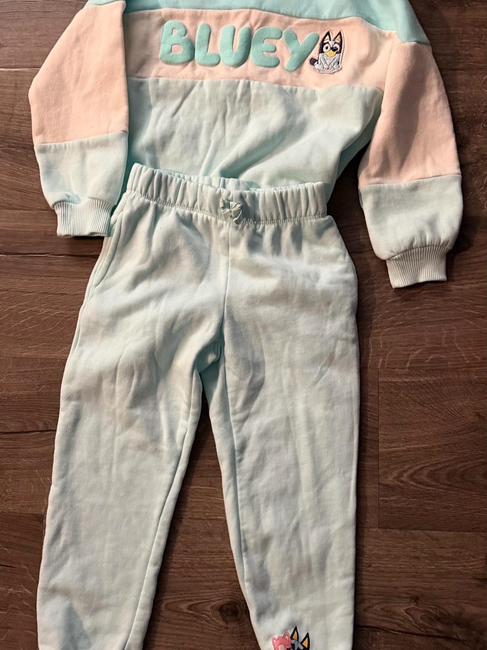 Kids Light Blue Cozy Jogger Pants -